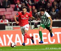  曼联梅努个人简历 