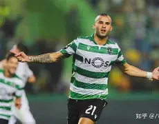  曼联梅努个人简历 