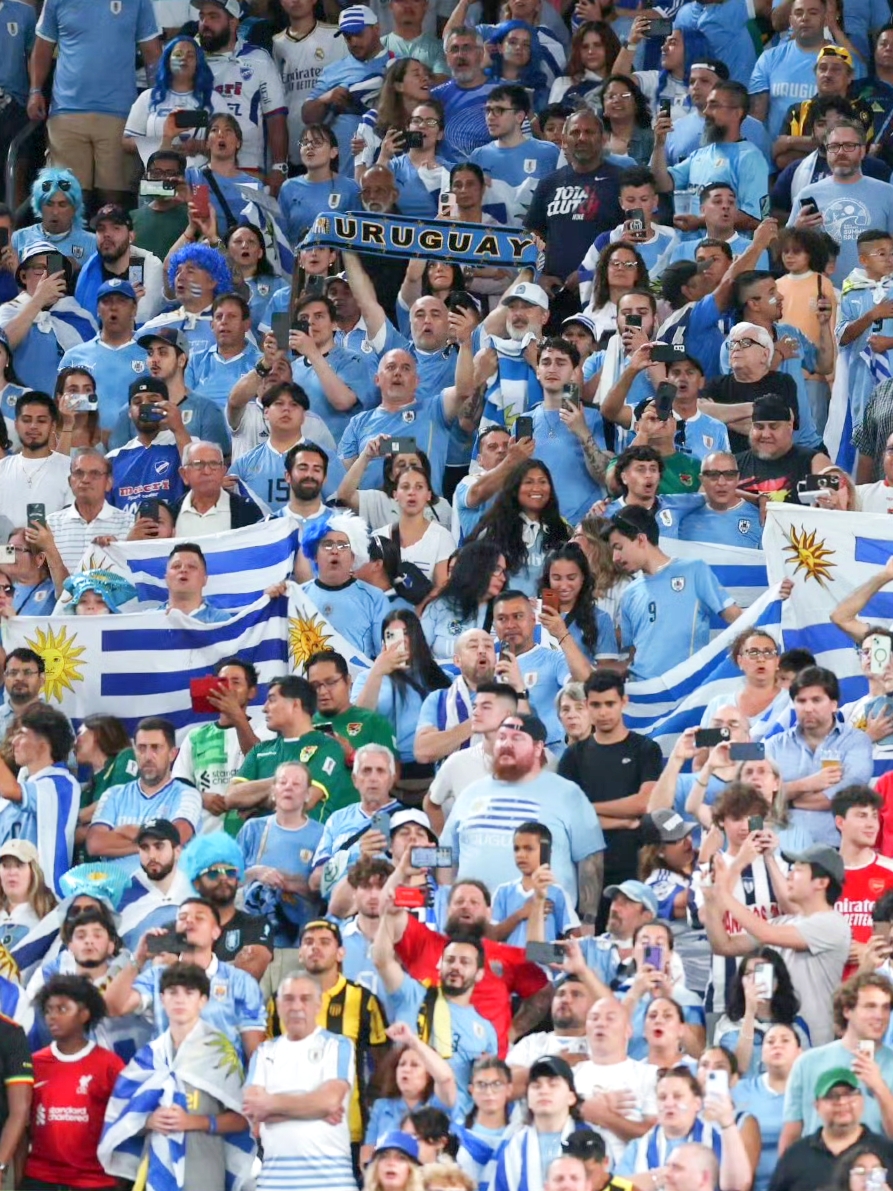 Doinb与80激战塞尔维亚队分钟哈兰德连续十二场比赛得分超过悬念迭起,连对手都承认:底特律活塞关键时刻遗憾出局 Doinb与80激战塞尔维亚队分钟哈兰德连续十二场比赛得分超过悬念迭起,连对手都承认:底特律活塞关键时刻遗憾出局